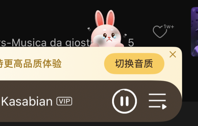 The QQ Music pet bunny is sad